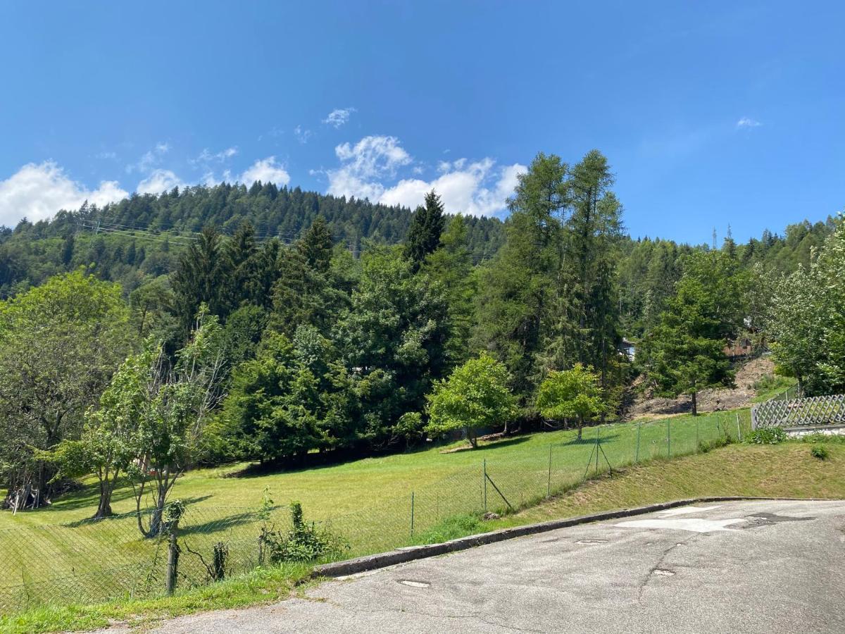 Casa Belvedere Pieve di Cadore Eksteriør billede