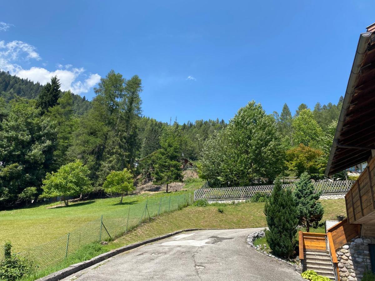 Casa Belvedere Pieve di Cadore Eksteriør billede