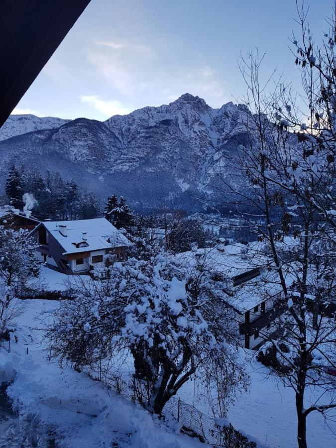 Casa Belvedere Pieve di Cadore Eksteriør billede